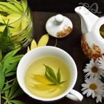 Cannabis Chamomile Tea Blend